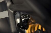 Ndp_Triumph_SpeedTriple1200RR_59