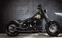 2009-harley-davidson-cross-bones-is-the-ultimate-visual-pirate-nod-to-bike-from-long-ago_1