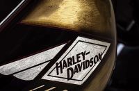 2009-harley-davidson-cross-bones-is-the-ultimate-visual-pirate-nod-to-bike-from-long-ago_5