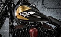 2009-harley-davidson-cross-bones-is-the-ultimate-visual-pirate-nod-to-bike-from-long-ago_8