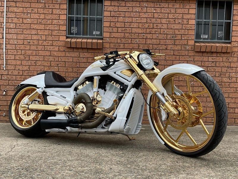 Harley Oro 2