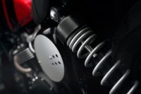Ndp_Triumph_NuevosColores_MY23_019