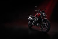 Ndp_Triumph_NuevosColores_MY23_046