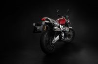 Ndp_Triumph_NuevosColores_MY23_050