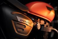 Ndp_Triumph_NuevosColores_MY23_117
