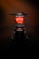 Ndp_Triumph_NuevosColores_MY23_124