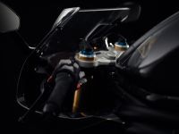 Ndp_Triumph_SpeedTriple_RR_BondEdition_18