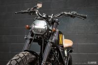 Ellaspede-HondaNX650-03e