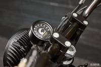 Ellaspede-HondaNX650-08e