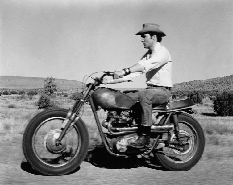 NdP Triumph Elvis Busqueda 003