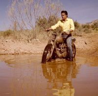 NdP_Triumph_Elvis_Busqueda_002