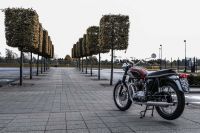 NdP_Triumph_Elvis_Busqueda_007