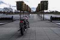 NdP_Triumph_Elvis_Busqueda_008