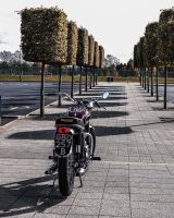 NdP_Triumph_Elvis_Busqueda_009