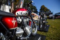 NdP_Triumph_Elvis_Busqueda_023