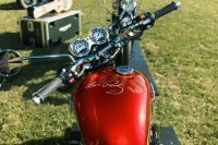 NdP_Triumph_Elvis_Busqueda_024