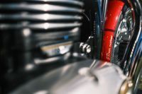 NdP_Triumph_Elvis_Busqueda_025