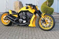 054_nlc_v-rod_madmax1_web-09