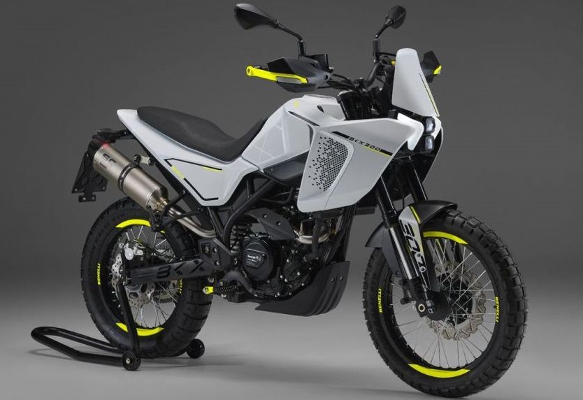 benelli bkx 300 2024 2