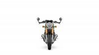 NdP_Triumph_ThruxtonFinalEdition_011