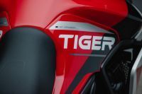 Triumph_Tiger900_AragonEdition_048