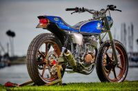 Mule_ODV_9794