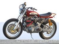 XR1660Mule05