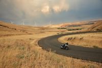 Ndp_Triumph_SpeedTwin1200_93
