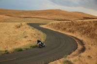 Ndp_Triumph_SpeedTwin1200_94