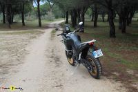 Kove800x_2025_14