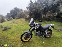Kove800x_2025_53