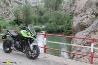 TigerSport660_56