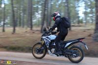 Voge_DS800xRally_00