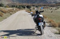 Voge_DS800xRally_24