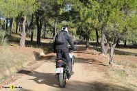 Voge_DS800xRally_41