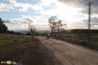Voge_DS800xRally_59