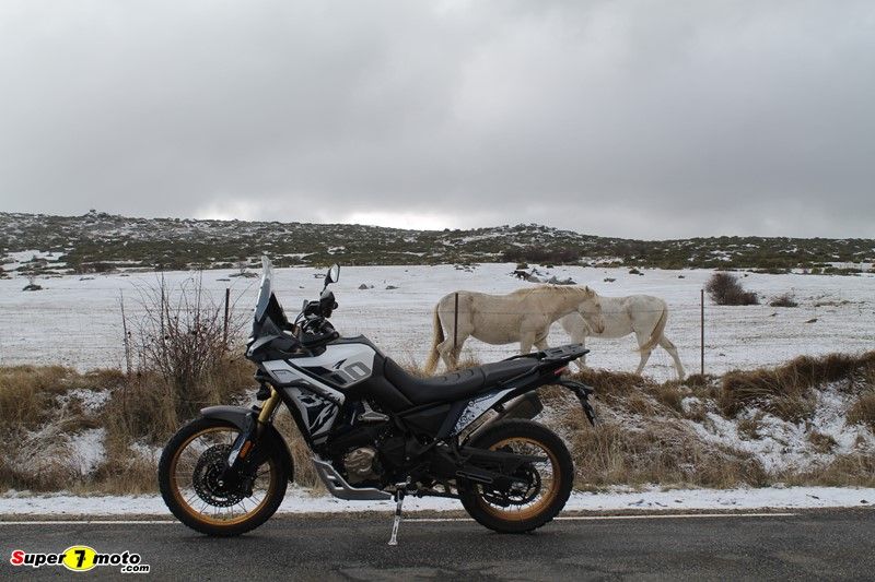 Voge DS800xRally 58