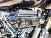 Harley-Davidson_Low_Rider_ST_14