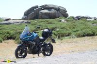 TigerSport660_2026_25