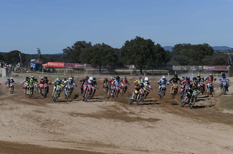 MX MERIDA MX65 MX85 SUB18 MMASTER 4 e1771851244536 2048x1352