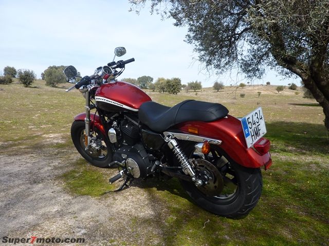 HD Sportster03