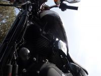 HD_Sportster16