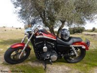 HD_Sportster23