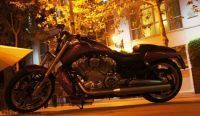 Harley_VROD_13