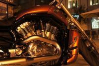Harley_VROD_19
