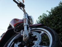 Harley_VROD_2