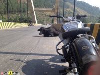 ViajeIndiaSuper7moto-6