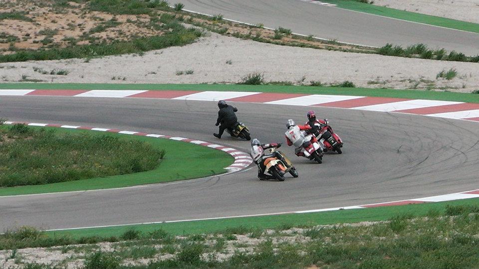 Kurtvespa