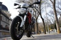 Monster796_40