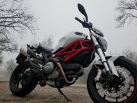 Monster_796_est_09